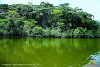 Lago Jalapa -Puerto Viejo de Sarapiquí, Heredia-