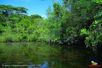 Lago Jalapa -Puerto Viejo de Sarapiquí, Heredia-