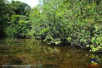 Lago Jalapa -Puerto Viejo de Sarapiquí, Heredia-