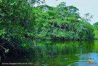 Lago Jalapa -Puerto Viejo de Sarapiquí, Heredia-