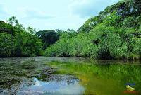 Lago Jalapa -Puerto Viejo de Sarapiquí, Heredia-