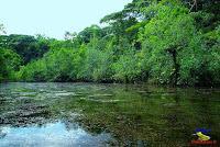 Lago Jalapa -Puerto Viejo de Sarapiquí, Heredia- Lago Jalapa -Puerto Viejo de Sarapiquí, Heredia-