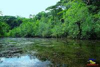 Lago Jalapa -Puerto Viejo de Sarapiquí, Heredia-