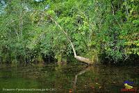 Lago Jalapa -Puerto Viejo de Sarapiquí, Heredia-