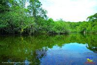 Lago Jalapa -Puerto Viejo de Sarapiquí, Heredia-