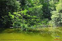 Lago Jalapa -Puerto Viejo de Sarapiquí, Heredia-