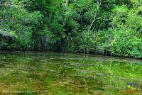 Lago Jalapa -Puerto Viejo de Sarapiquí, Heredia-