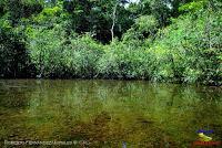 Lago Jalapa -Puerto Viejo de Sarapiquí, Heredia-