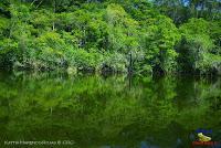 Lago Jalapa -Puerto Viejo de Sarapiquí, Heredia-