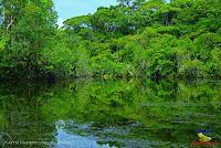 Lago Jalapa -Puerto Viejo de Sarapiquí, Heredia-