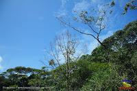 Lago Jalapa -Puerto Viejo de Sarapiquí, Heredia-