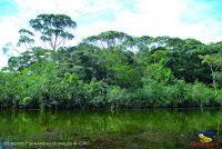 Lago Jalapa -Puerto Viejo de Sarapiquí, Heredia-