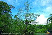 Lago Jalapa -Puerto Viejo de Sarapiquí, Heredia-