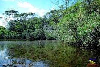 Lago Jalapa -Puerto Viejo de Sarapiquí, Heredia-