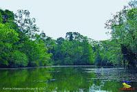 Lago Jalapa -Puerto Viejo de Sarapiquí, Heredia-