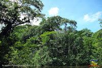 Lago Jalapa -Puerto Viejo de Sarapiquí, Heredia-