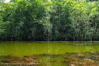 Lago Jalapa -Puerto Viejo de Sarapiquí, Heredia-