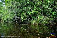 Lago Jalapa -Puerto Viejo de Sarapiquí, Heredia-