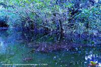 Lago Jalapa -Puerto Viejo de Sarapiquí, Heredia-