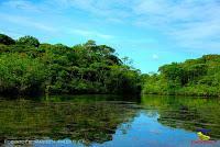 Lago Jalapa -Puerto Viejo de Sarapiquí, Heredia-