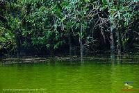 Lago Jalapa -Puerto Viejo de Sarapiquí, Heredia-