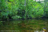 Lago Jalapa -Puerto Viejo de Sarapiquí, Heredia-