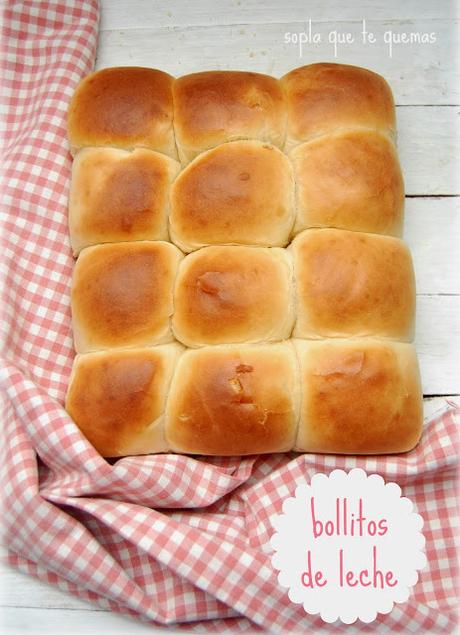 Bollitos de leche