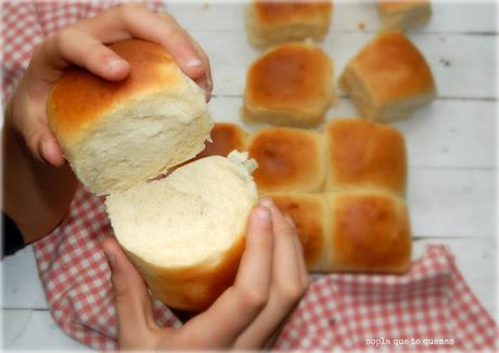 Bollitos de leche