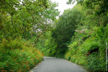 Carreteras Irlanda