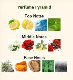 El Perfume del Mes – “Viaje a Ceylan” de ADOLFO DOMINGUEZ