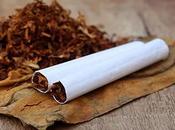 Hierbas métodos naturales para fumar