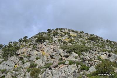 Por la Sierra de San Serván