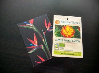 Mi experiencia Bookish Febrero 2017