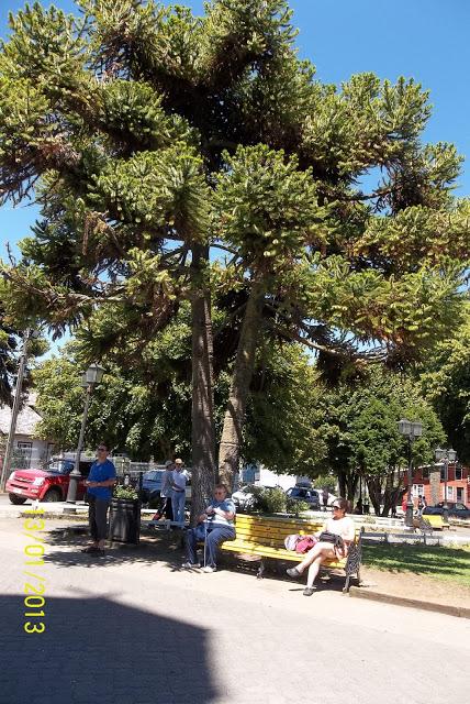 Una plaza huilliche