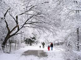 Pero, ¿Qué significado tiene soñar con una helada?