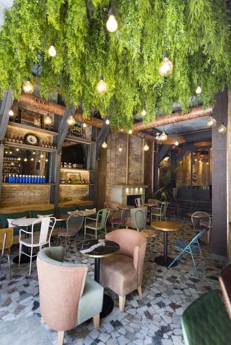 Dingo, americano de verdad