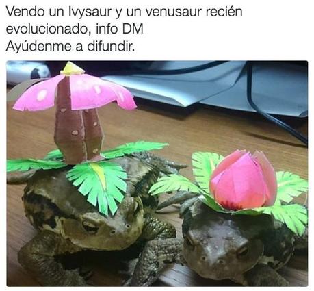 14 Imágenes de Ofertas Insólitas ¡No Dejes Pasar Ninguna!