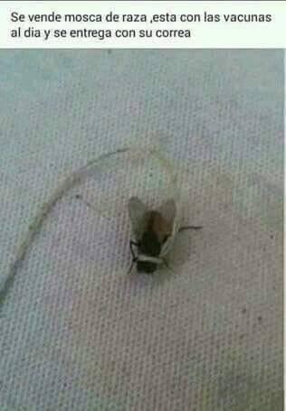 14 Imágenes de Ofertas Insólitas ¡No Dejes Pasar Ninguna!