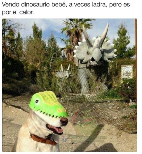 14 Imágenes de Ofertas Insólitas ¡No Dejes Pasar Ninguna!