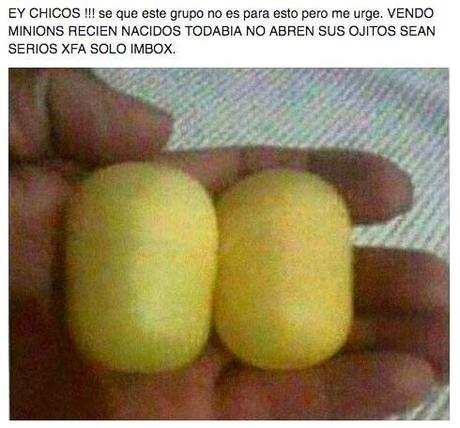 14 Imágenes de Ofertas Insólitas ¡No Dejes Pasar Ninguna!