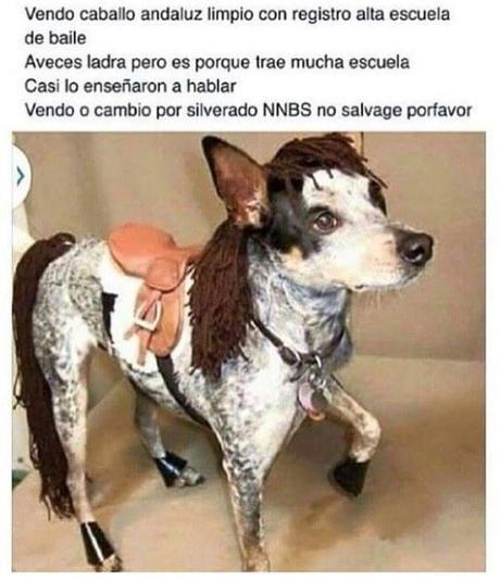 14 Imágenes de Ofertas Insólitas ¡No Dejes Pasar Ninguna!