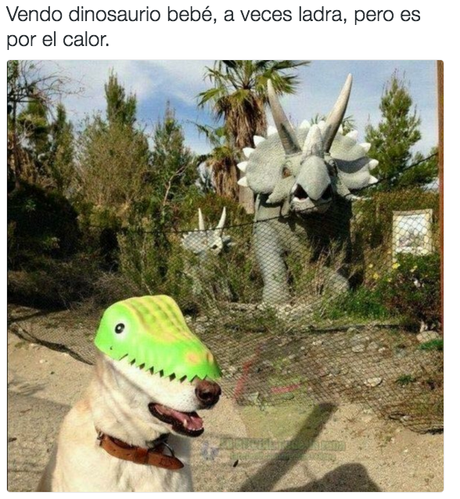 14 Imágenes de Ofertas Insólitas ¡No Dejes Pasar Ninguna!