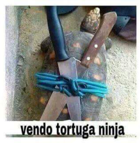 14 Imágenes de Ofertas Insólitas ¡No Dejes Pasar Ninguna!