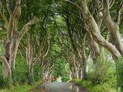 días Irlanda Norte. Madrid Dublin Norte