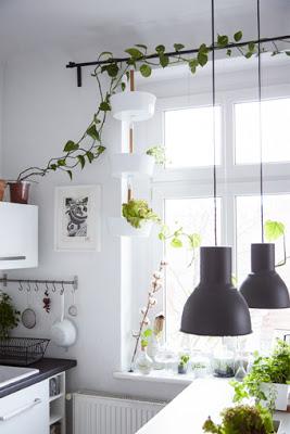 Una decoración inspirada en la naturaleza