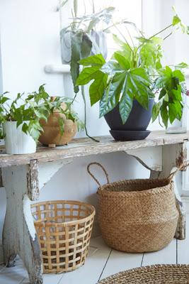 Una decoración inspirada en la naturaleza