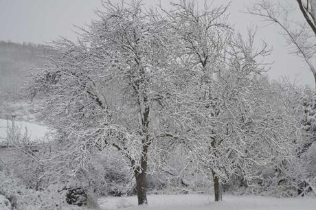 Farmacias de Guardia