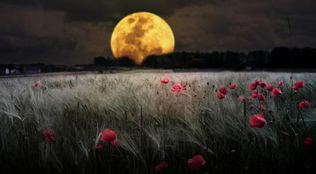 ‘La noche oscura de Teresa de Jesús’, nueva tesis doctoral