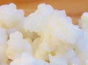 Kéfir: propiedades beneficios