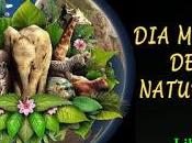 mundial naturaleza.-